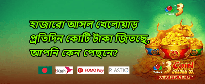 স্লট গেম ফ্রি স্পিন promotion